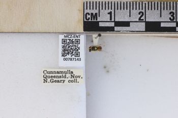 Media type: image;   Entomology 787143 Aspect: labels